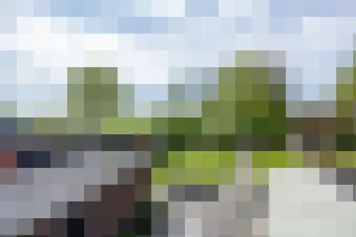 Coendersweg 11 A Middelstum thumbnail 36