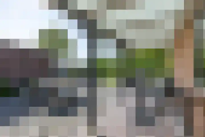 Coendersweg 11 A Middelstum thumbnail 41