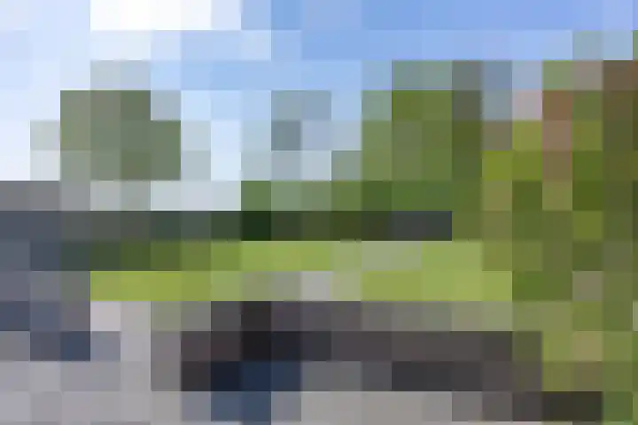 Coendersweg 11 A Middelstum thumbnail 43