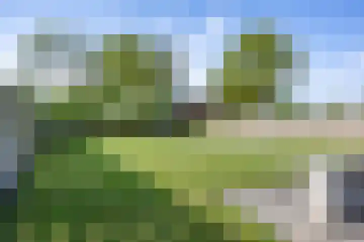 Coendersweg 11 A Middelstum thumbnail 44