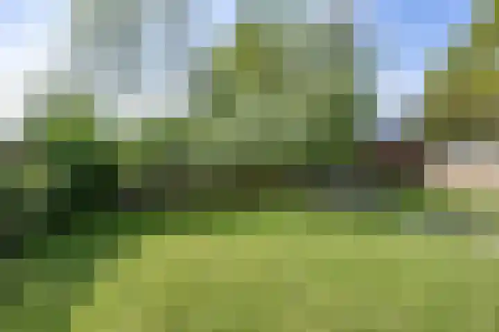 Coendersweg 11 A Middelstum thumbnail 45