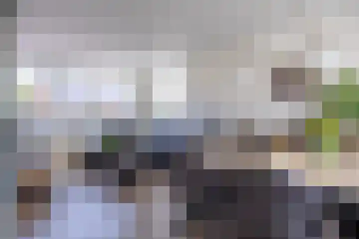 Coendersweg 11 A Middelstum thumbnail 9