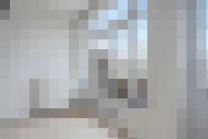 Coendersweg 12 a Groningen thumbnail 15
