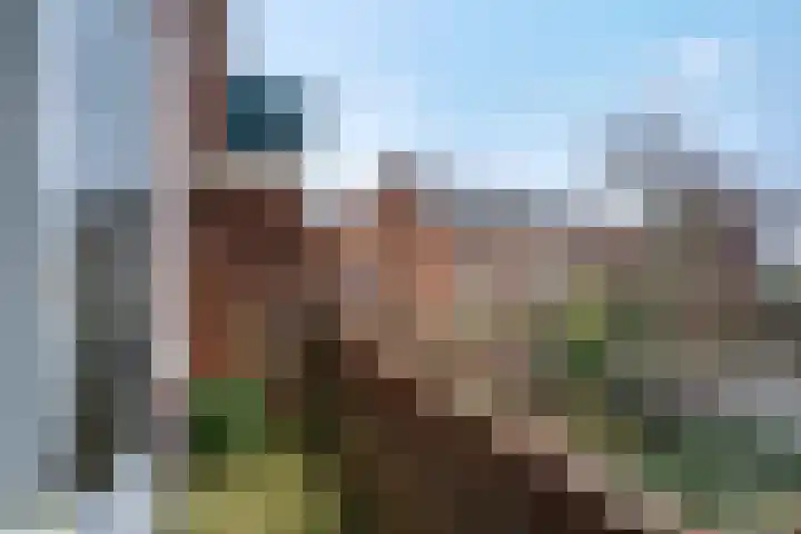 Coendersweg 12 a Groningen thumbnail 18