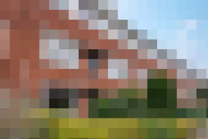Coendersweg 12 a Groningen thumbnail 28