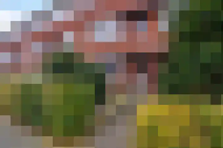 Coendersweg 12 a Groningen thumbnail 8