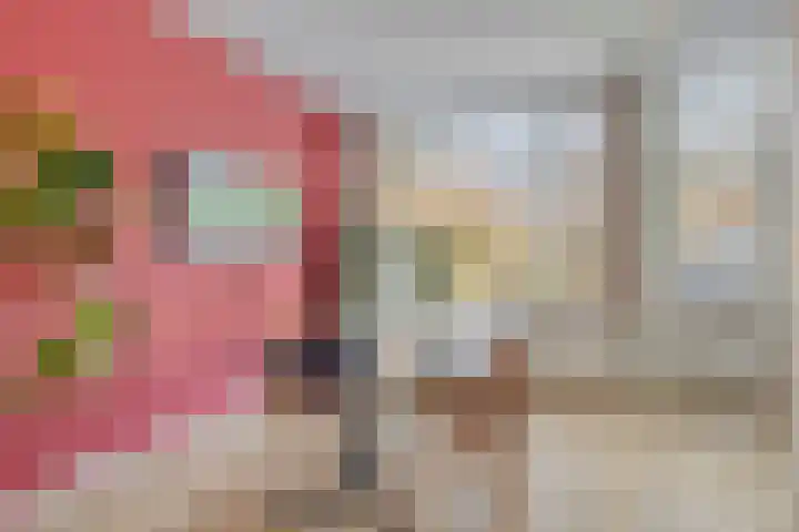 Coendersweg 14 Groningen thumbnail 22