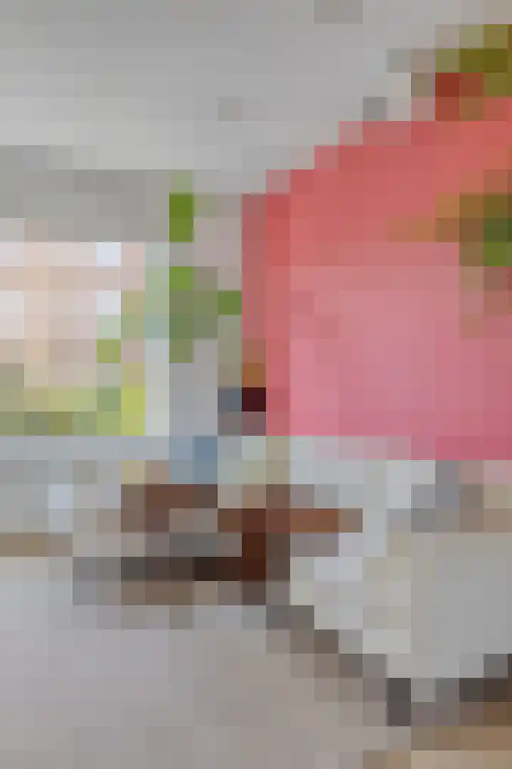 Coendersweg 14 Groningen thumbnail 23