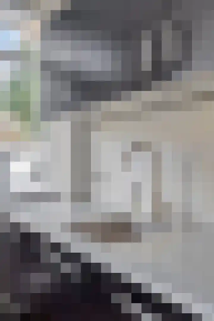 Coendersweg 14 Groningen thumbnail 31