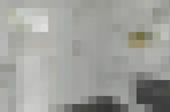 Coendersweg 14 Groningen thumbnail 37