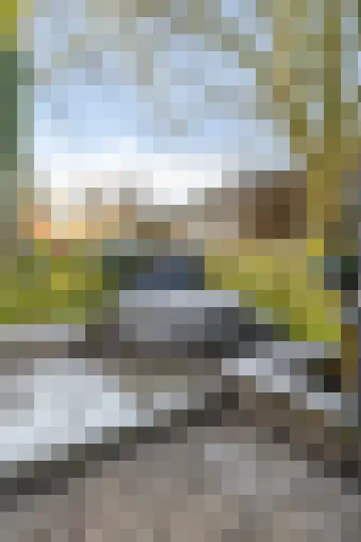 Coendersweg 14 Groningen thumbnail 44