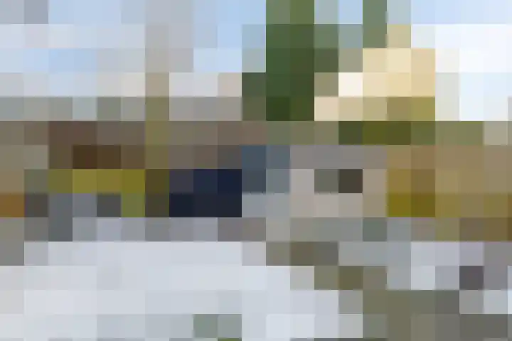 Coendersweg 14 Groningen thumbnail 45