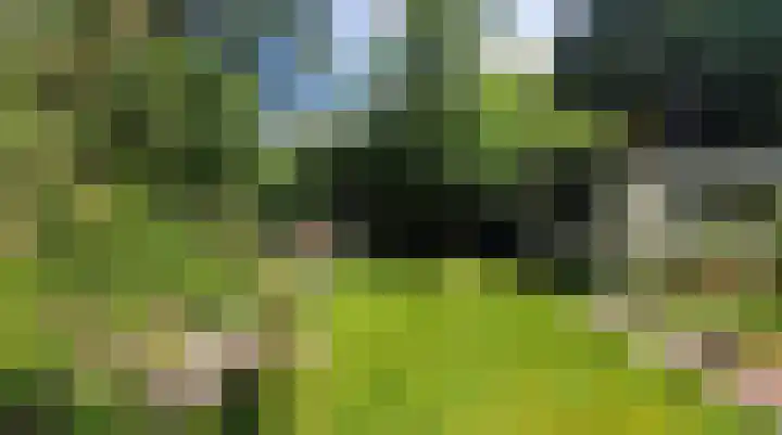 Coendersweg 14 Groningen thumbnail 53