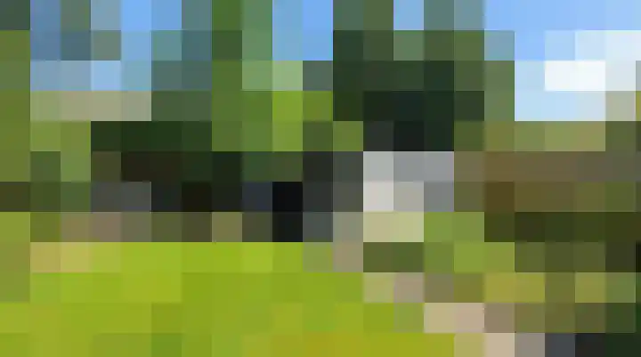 Coendersweg 14 Groningen thumbnail 54