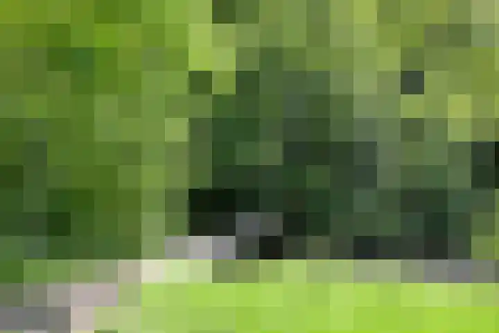 Coendersweg 14 Groningen thumbnail 56