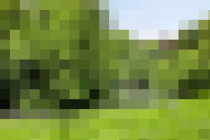 Coendersweg 14 Groningen thumbnail 57