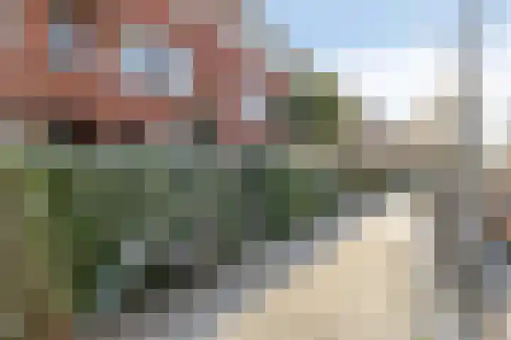 Coendersweg 14 Groningen thumbnail 9