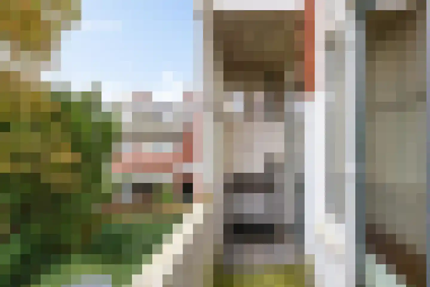 Coendersweg 22 a Groningen thumbnail 16