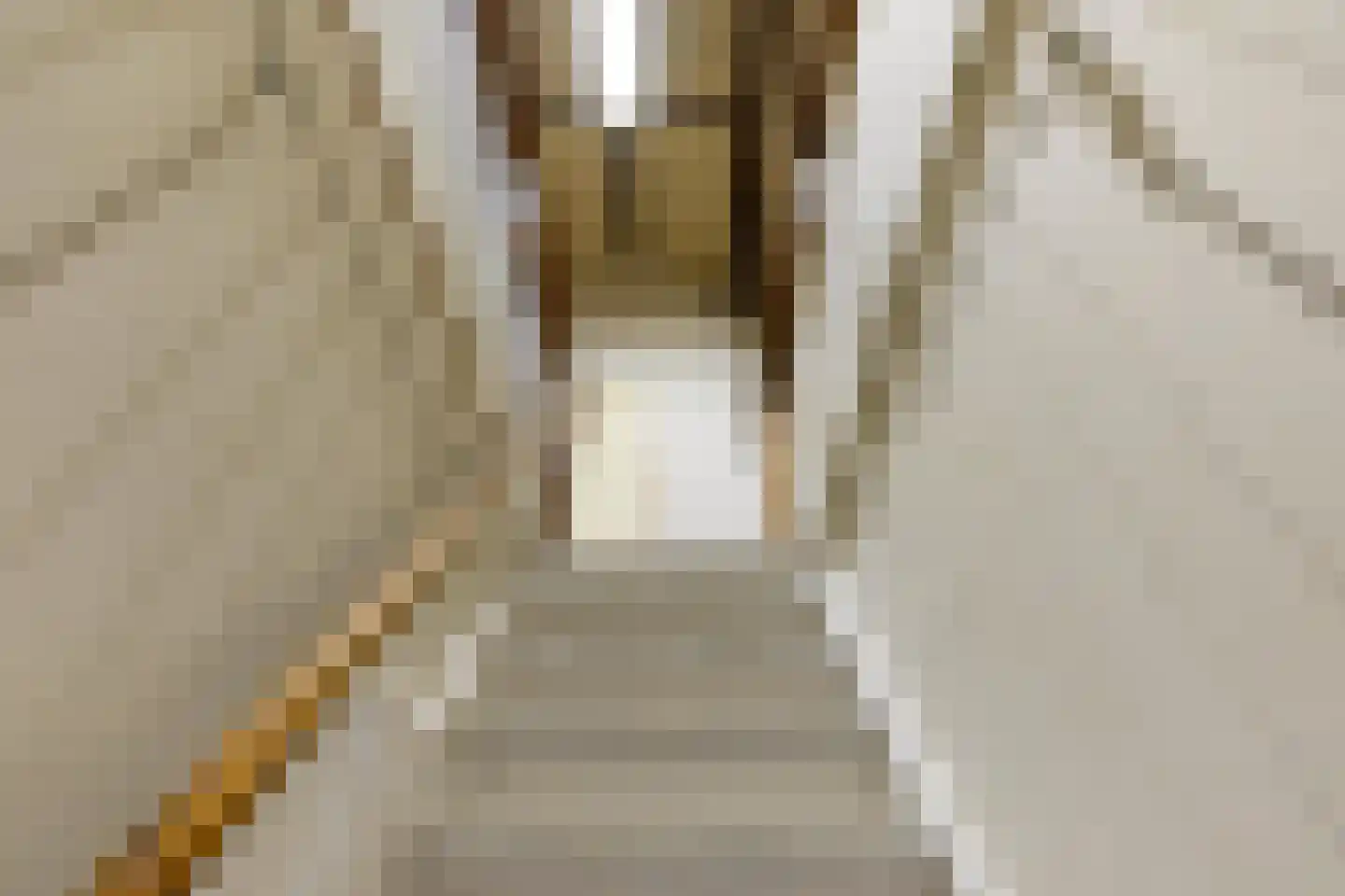 Coendersweg 22 a Groningen thumbnail 35