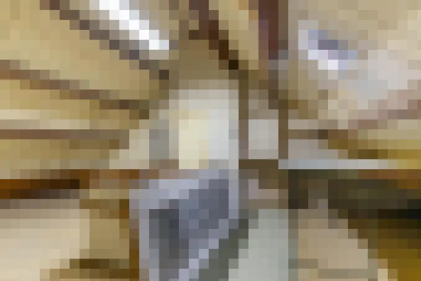 Coendersweg 22 a Groningen thumbnail 37