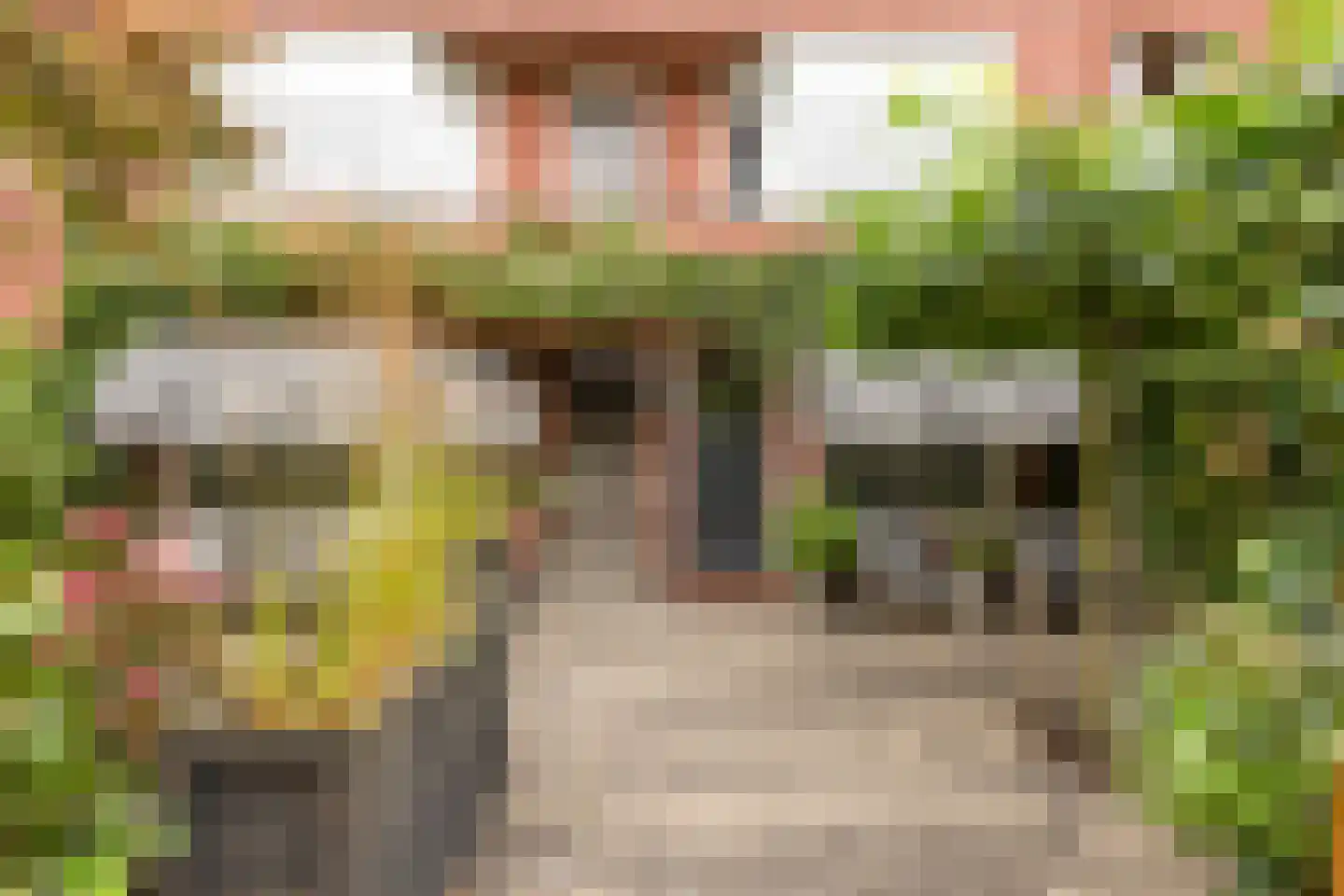 Coendersweg 24 Groningen thumbnail 10