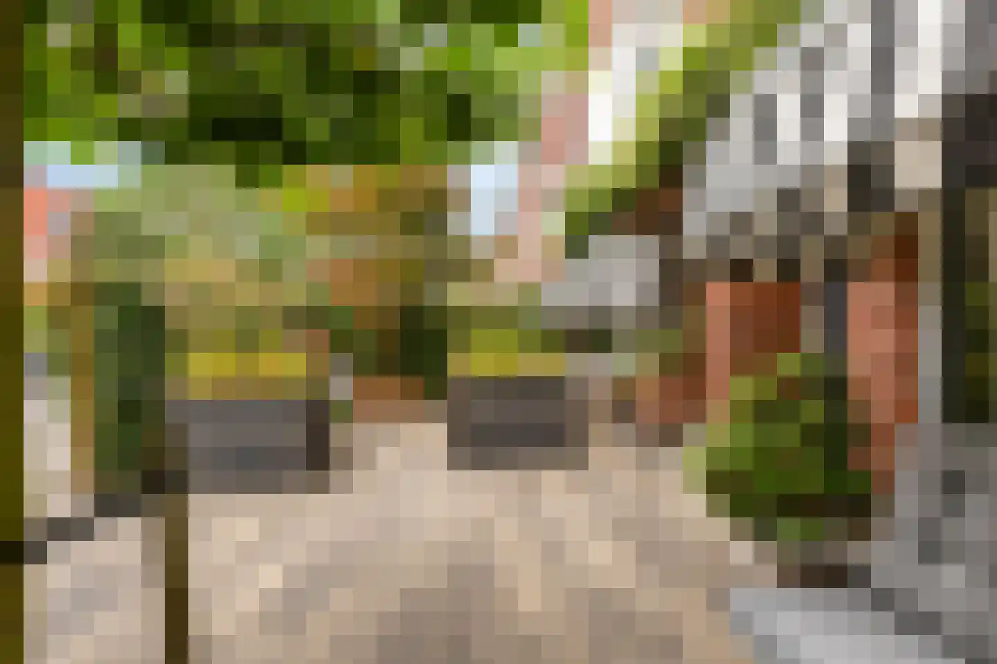 Coendersweg 24 Groningen thumbnail 11