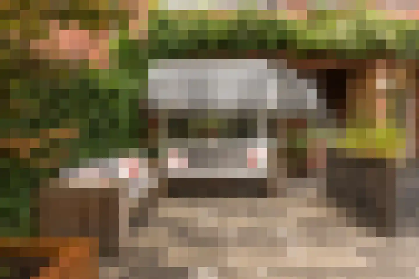 Coendersweg 24 Groningen thumbnail 12