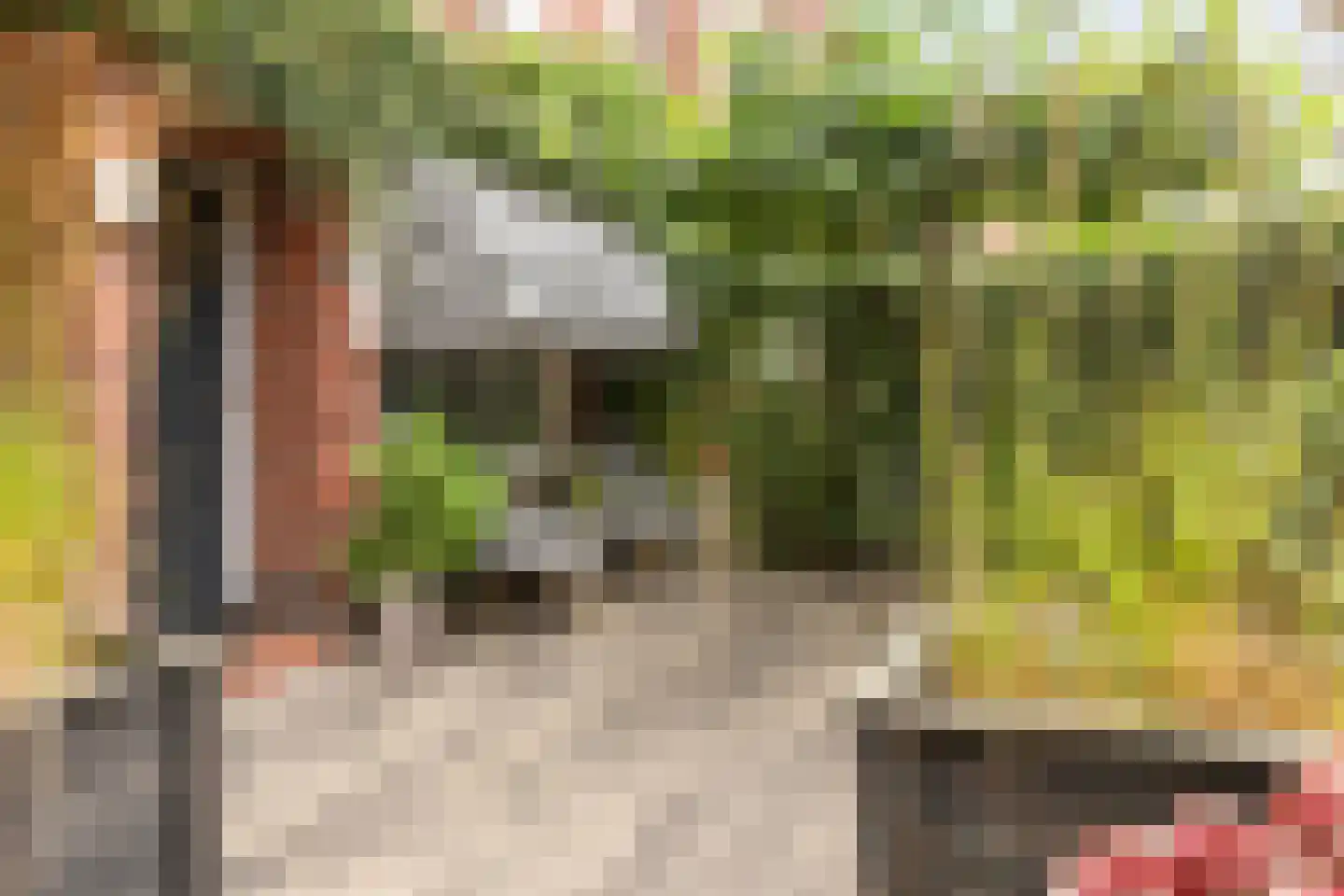 Coendersweg 24 Groningen thumbnail 14