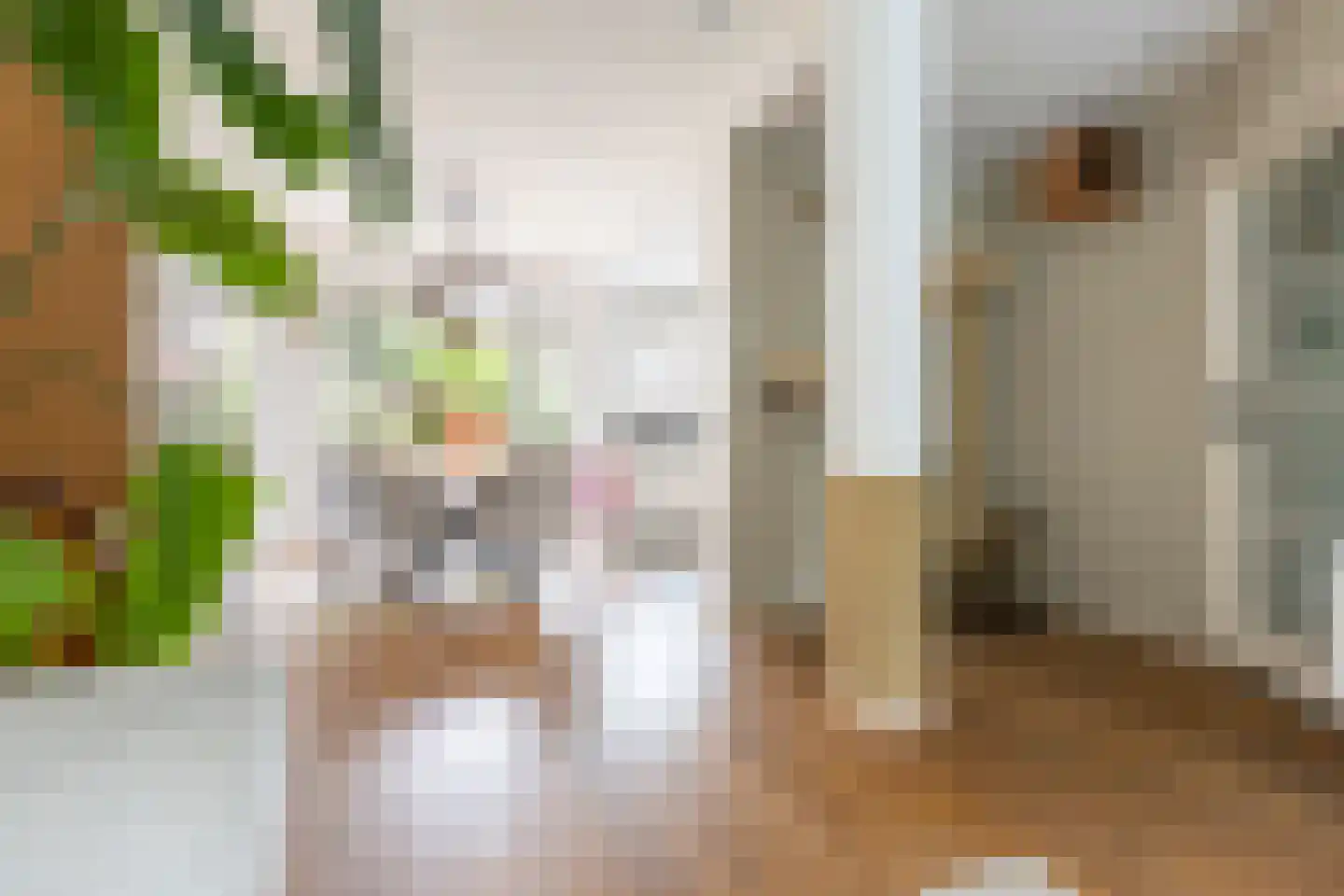 Coendersweg 24 Groningen thumbnail 19