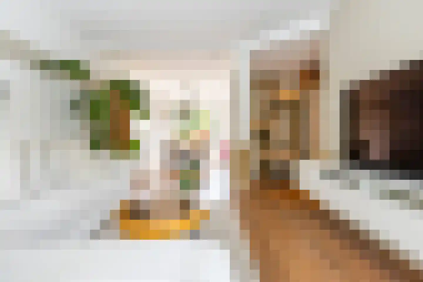 Coendersweg 24 Groningen thumbnail 20