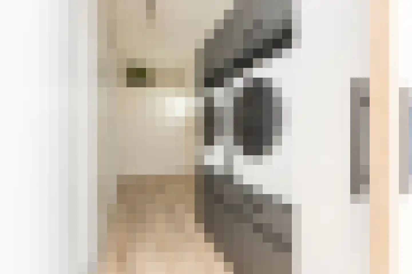 Coendersweg 24 Groningen thumbnail 31