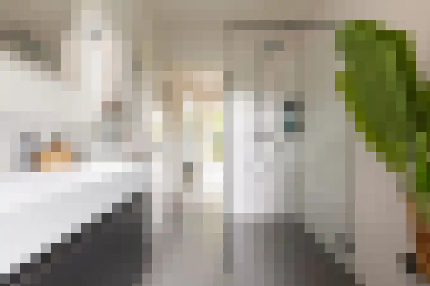 Coendersweg 24 Groningen thumbnail 35
