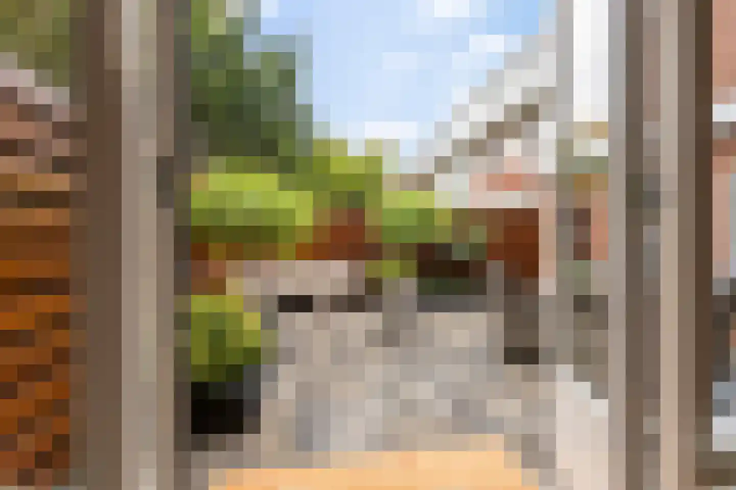 Coendersweg 24 Groningen thumbnail 38
