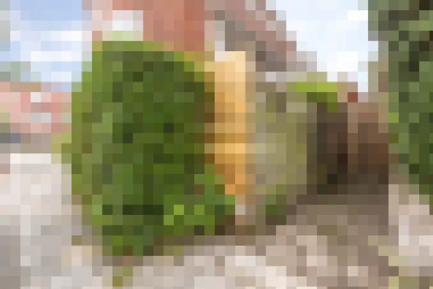 Coendersweg 24 Groningen thumbnail 44