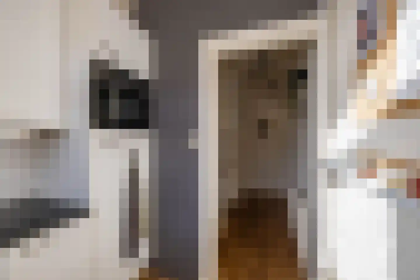 Coendersweg 25 a Groningen thumbnail 11