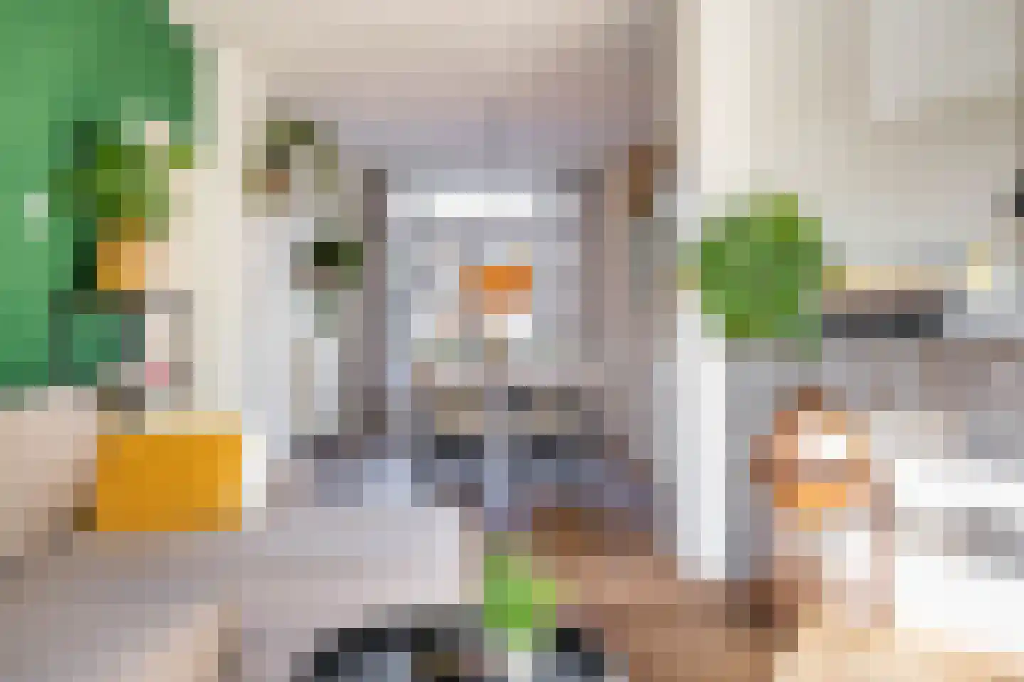 Coendersweg 25 a Groningen thumbnail 16