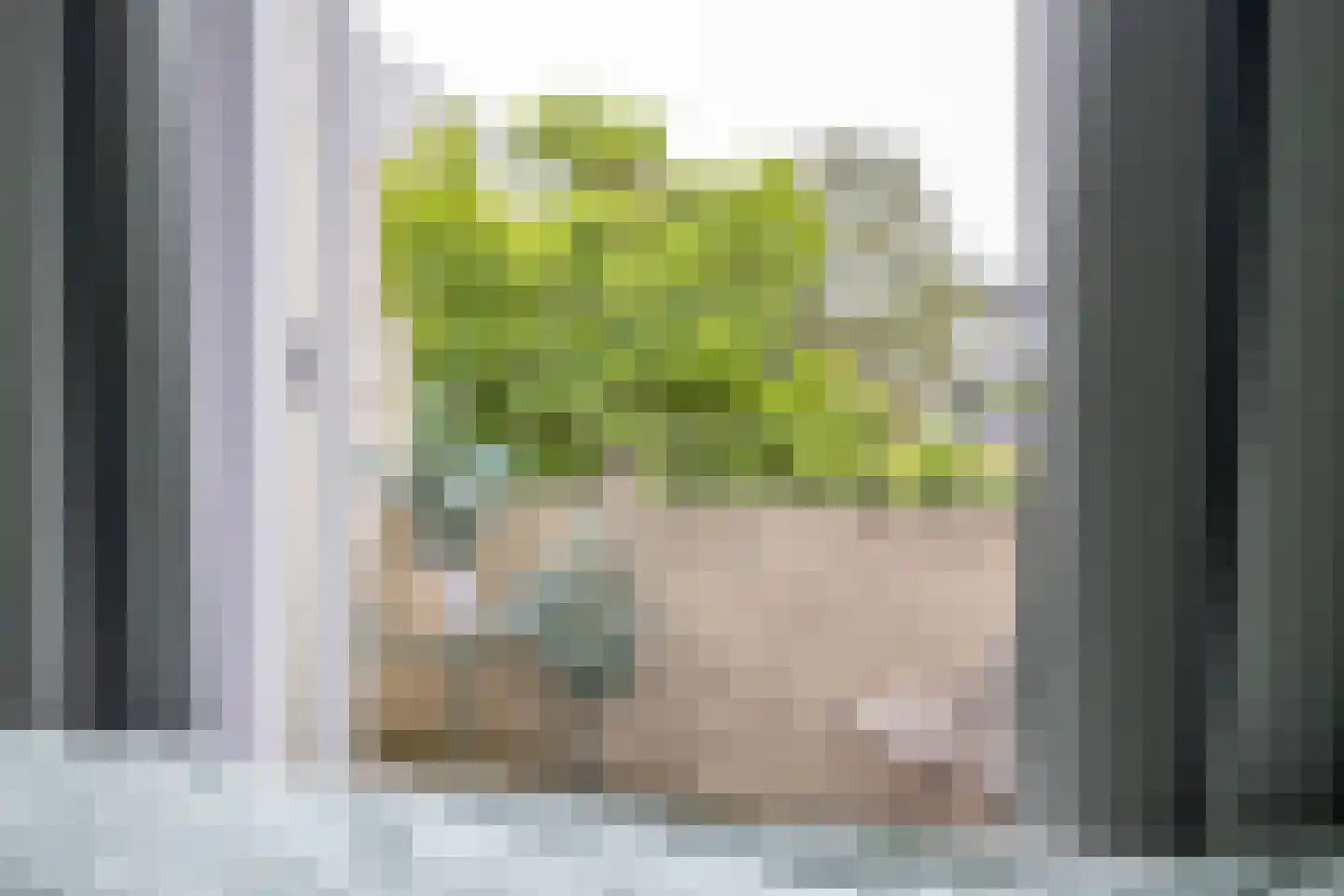 Coendersweg 27 Groningen thumbnail 20