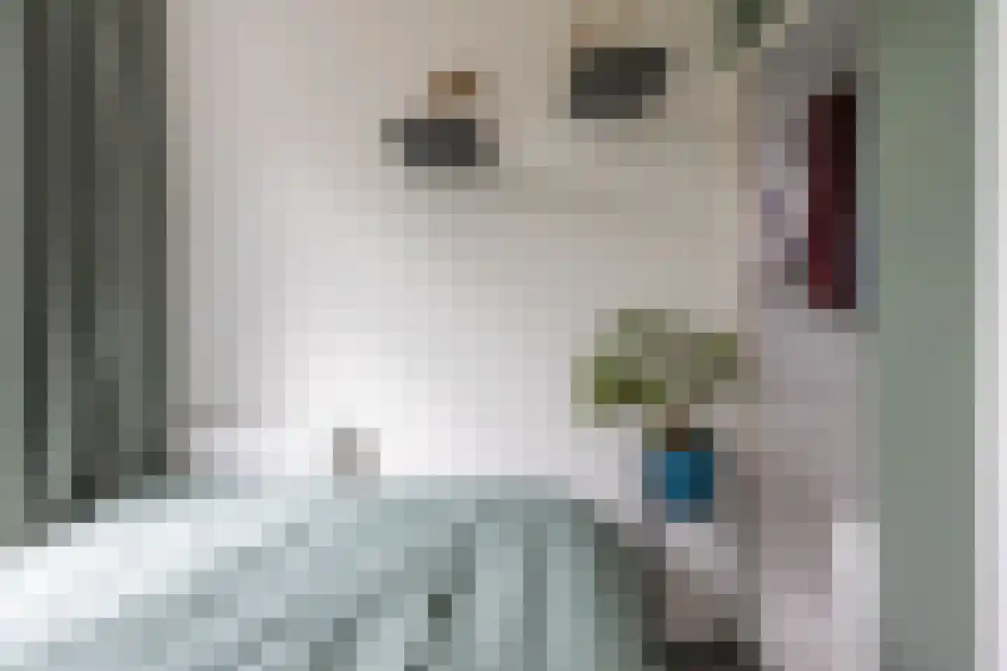 Coendersweg 27 Groningen thumbnail 21