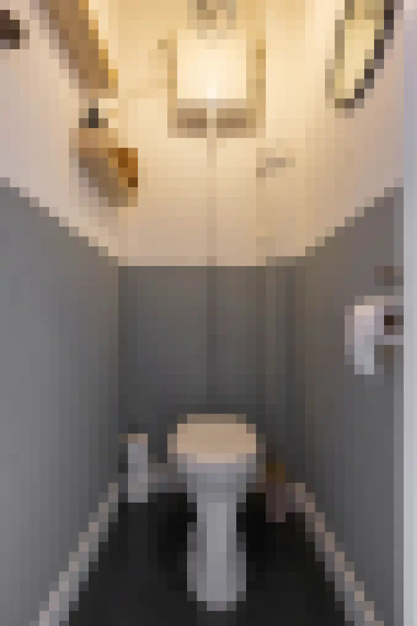 Coendersweg 27 Groningen thumbnail 22