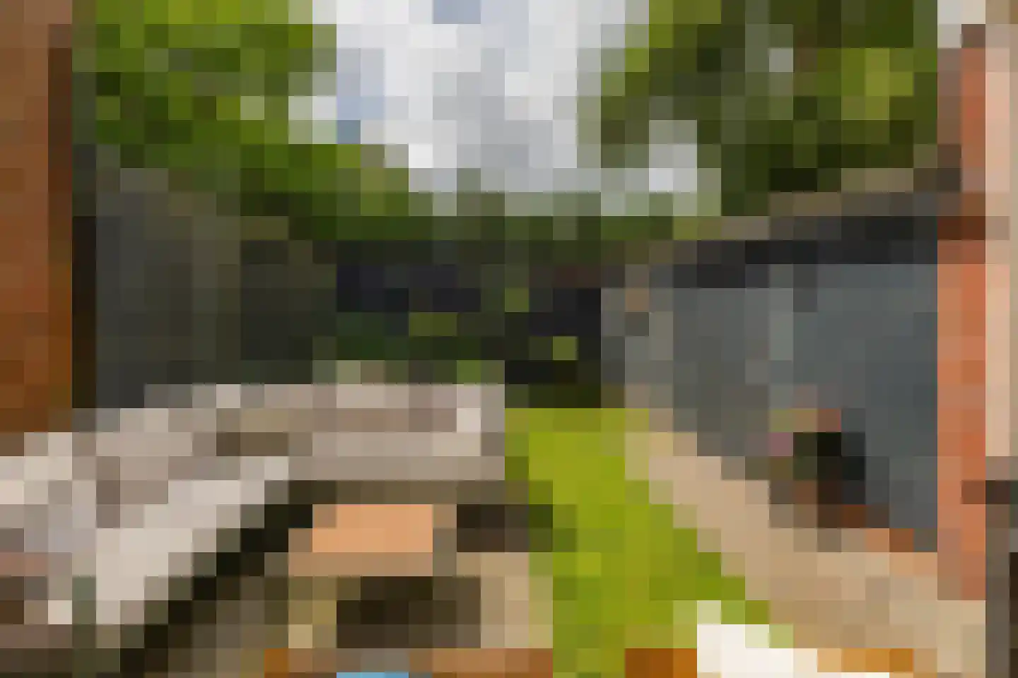 Coendersweg 27 Groningen thumbnail 5