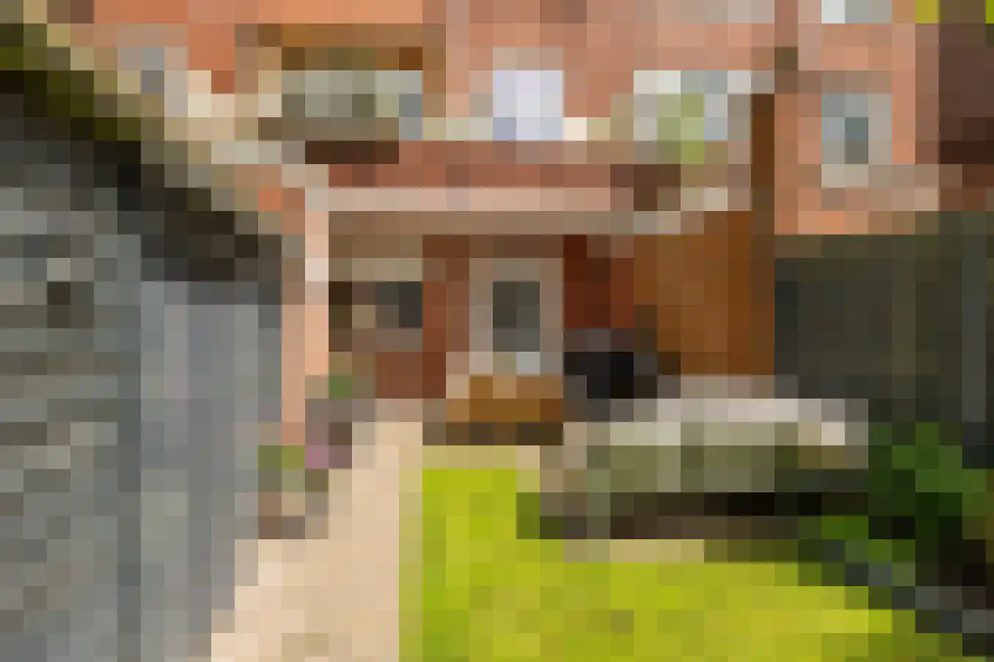 Coendersweg 27 Groningen thumbnail 26