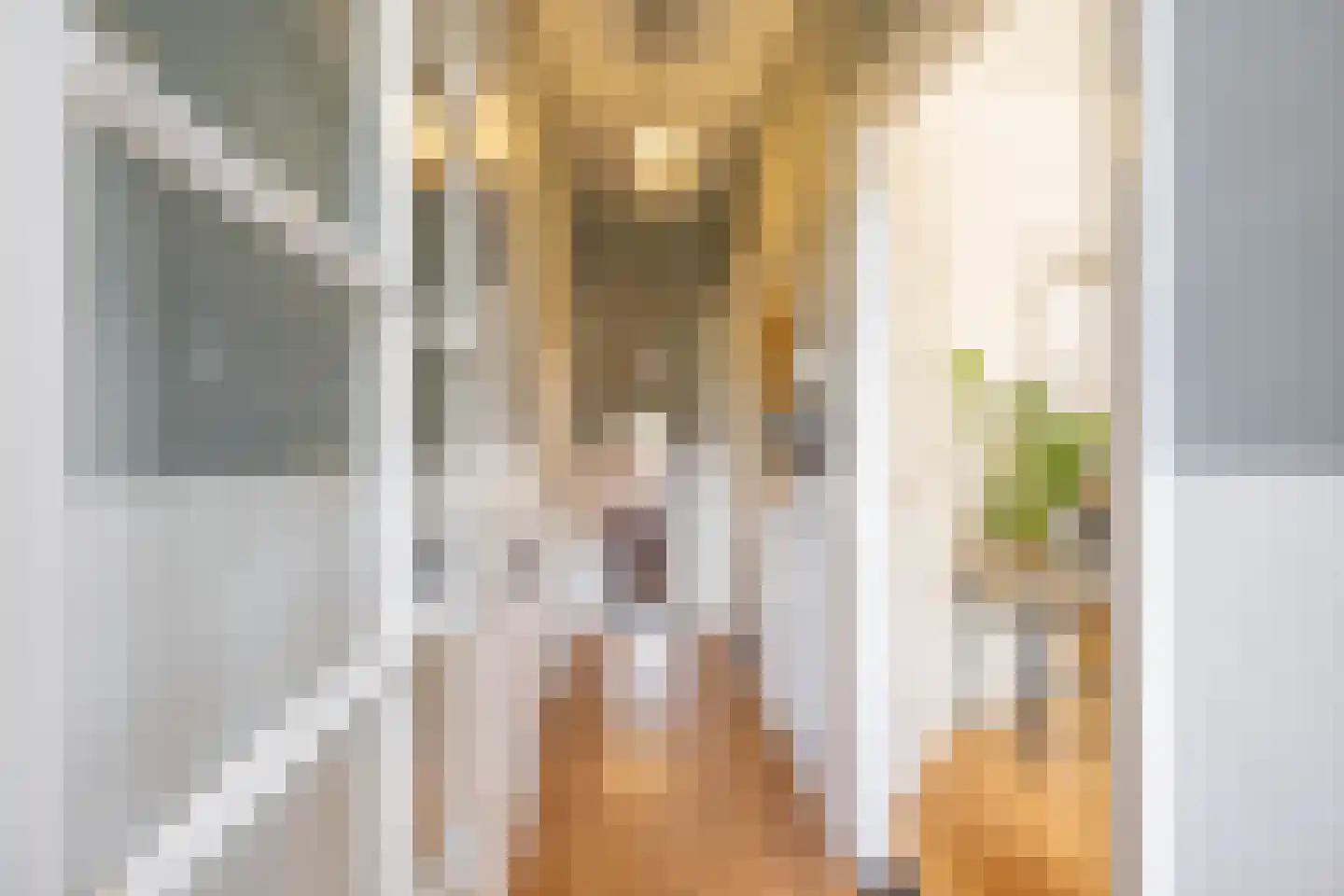 Coendersweg 27 Groningen thumbnail 4