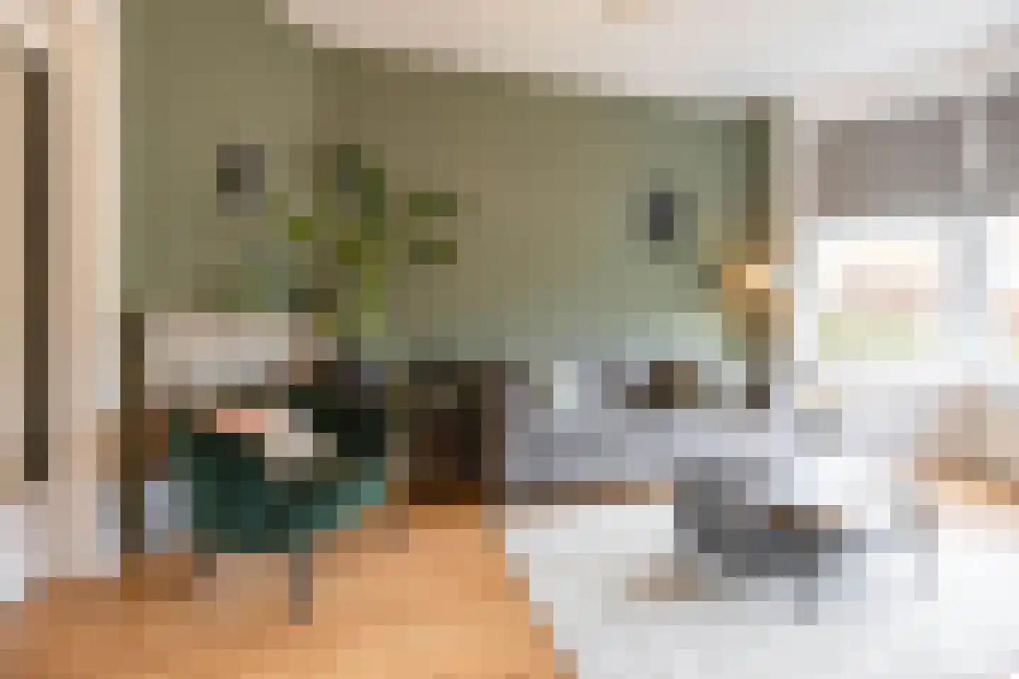 Coendersweg 27 Groningen thumbnail 7