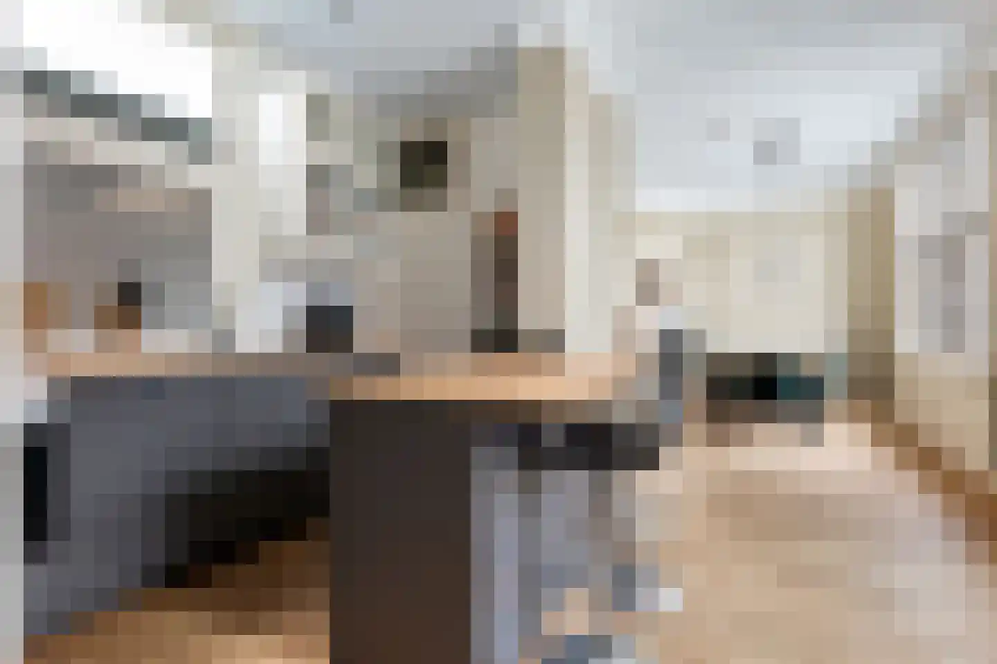 Coendersweg 33 Groningen thumbnail 10