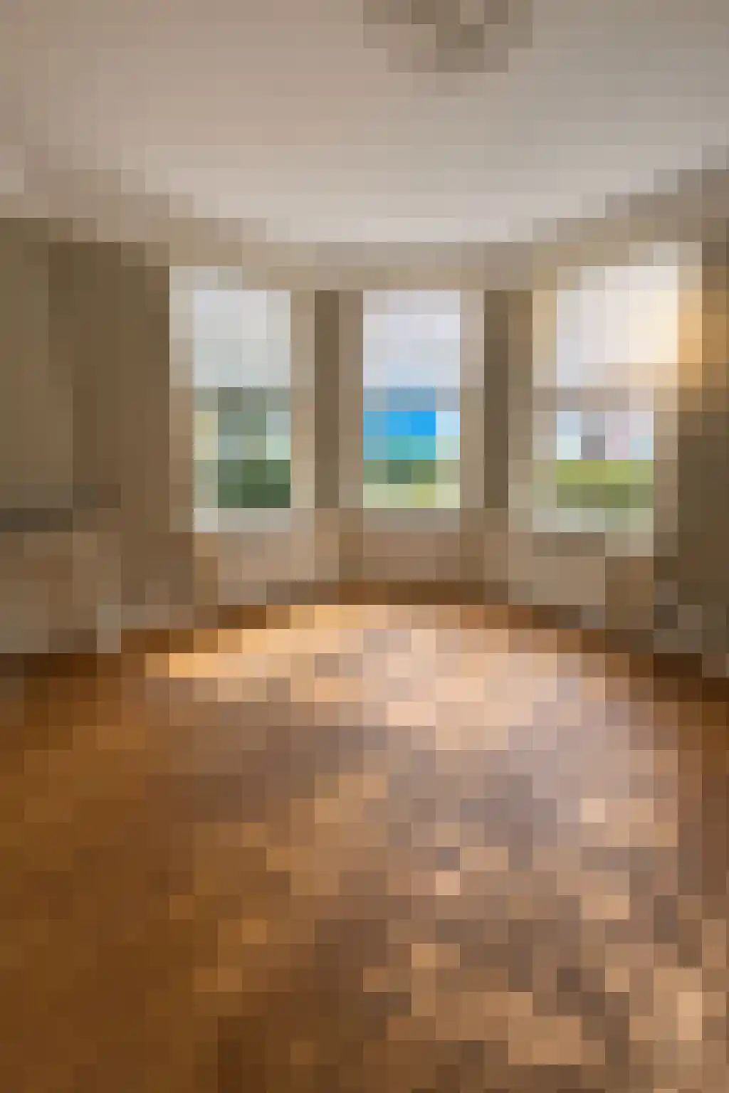 Coendersweg 33 Groningen thumbnail 6