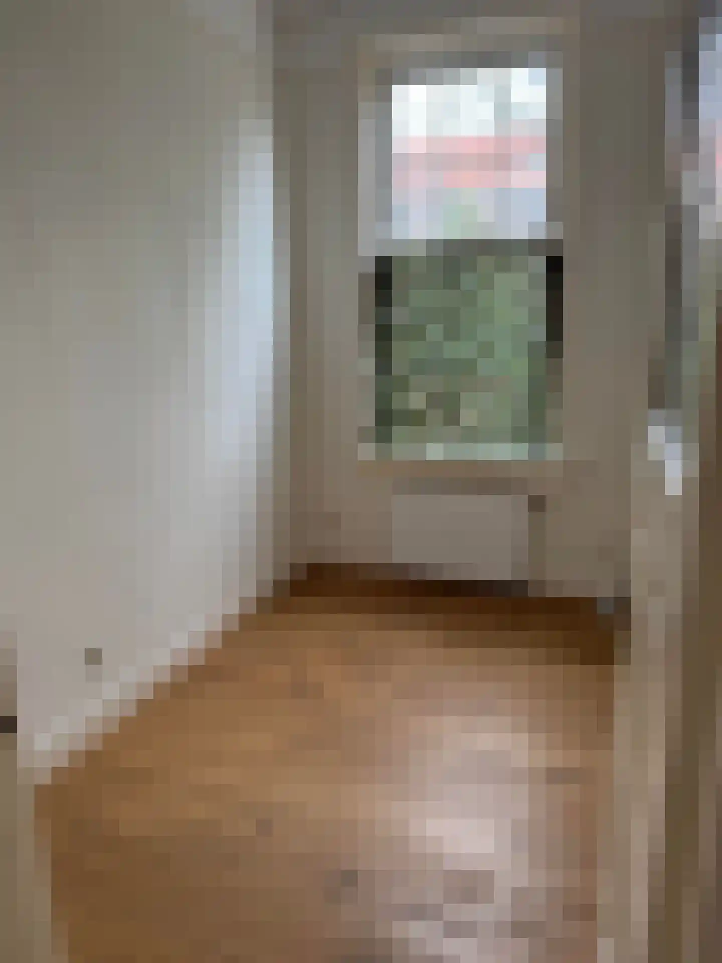 Coendersweg 33 Groningen thumbnail 8