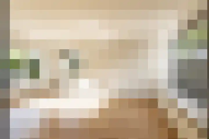 Coendersweg 36 Middelstum thumbnail 19