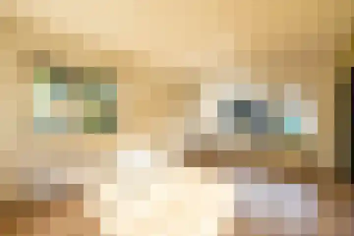 Coendersweg 36 Middelstum thumbnail 22