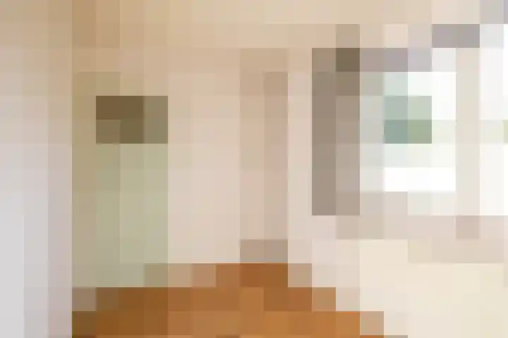 Coendersweg 36 Middelstum thumbnail 35