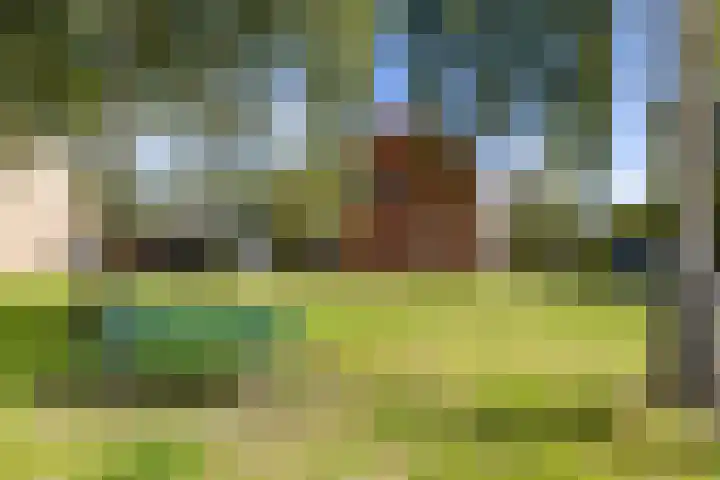 Coendersweg 36 Middelstum thumbnail 4